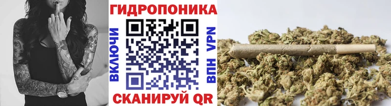 Купить закладку Альфа ПВП  Каннабис  Cocaine  Мефедрон  Гашиш  Валуйки