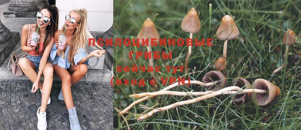 метадон Кодинск