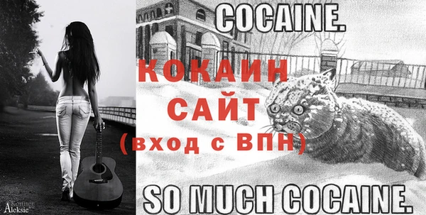 метадон Кодинск