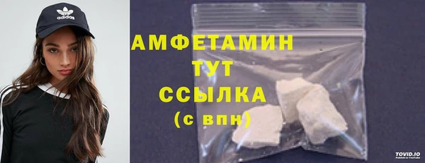 молекула духа Козловка