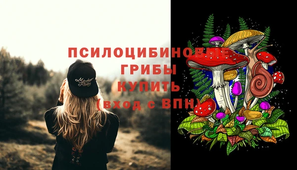 мяу мяу мука Козельск