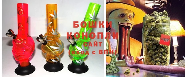 гидра Кинешма