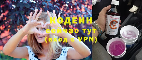 молекула духа Козловка