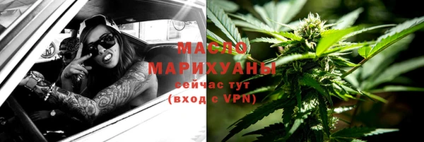 молекула духа Козловка