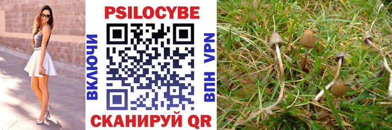 Купить где  Валуйки  Галлюциногенные грибы Cubensis 